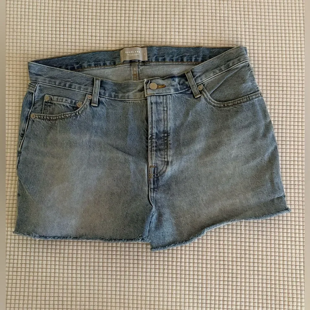 Everlane The Relaxed '90s Short Size 31